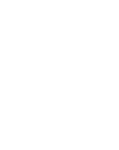 Ray Nicaragua